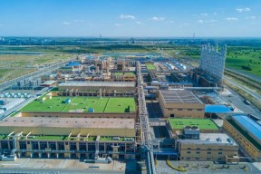 kaiyun电竞-内蒙古苏海塔尔队员表现出色，坚守领先位置(奥托海塔尔怎么死)