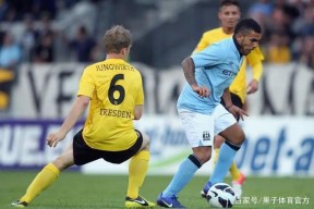 开云电竞-阿尔滨轻取保级对手，提前锁定下赛季德乙资格的简单介绍